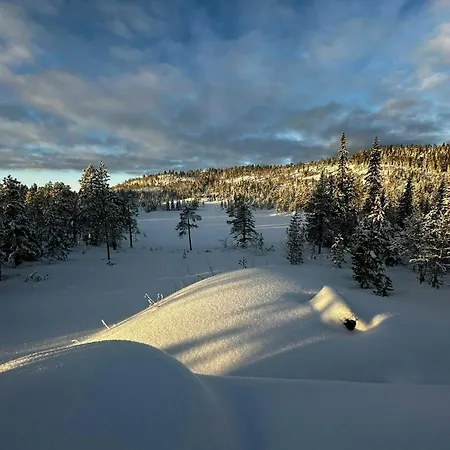 By Trillemarka Nature Reserve Kleiv (Buskerud)