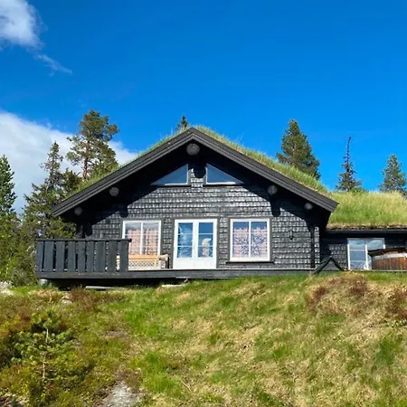 By Trillemarka Nature Reserve *