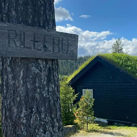 By Trillemarka Nature Reserve Kleiv (Buskerud)