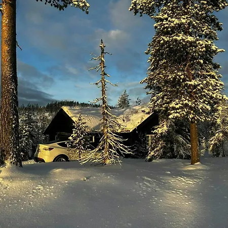 By Trillemarka Nature Reserve 펜션